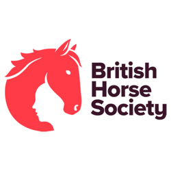British Horse Society Member