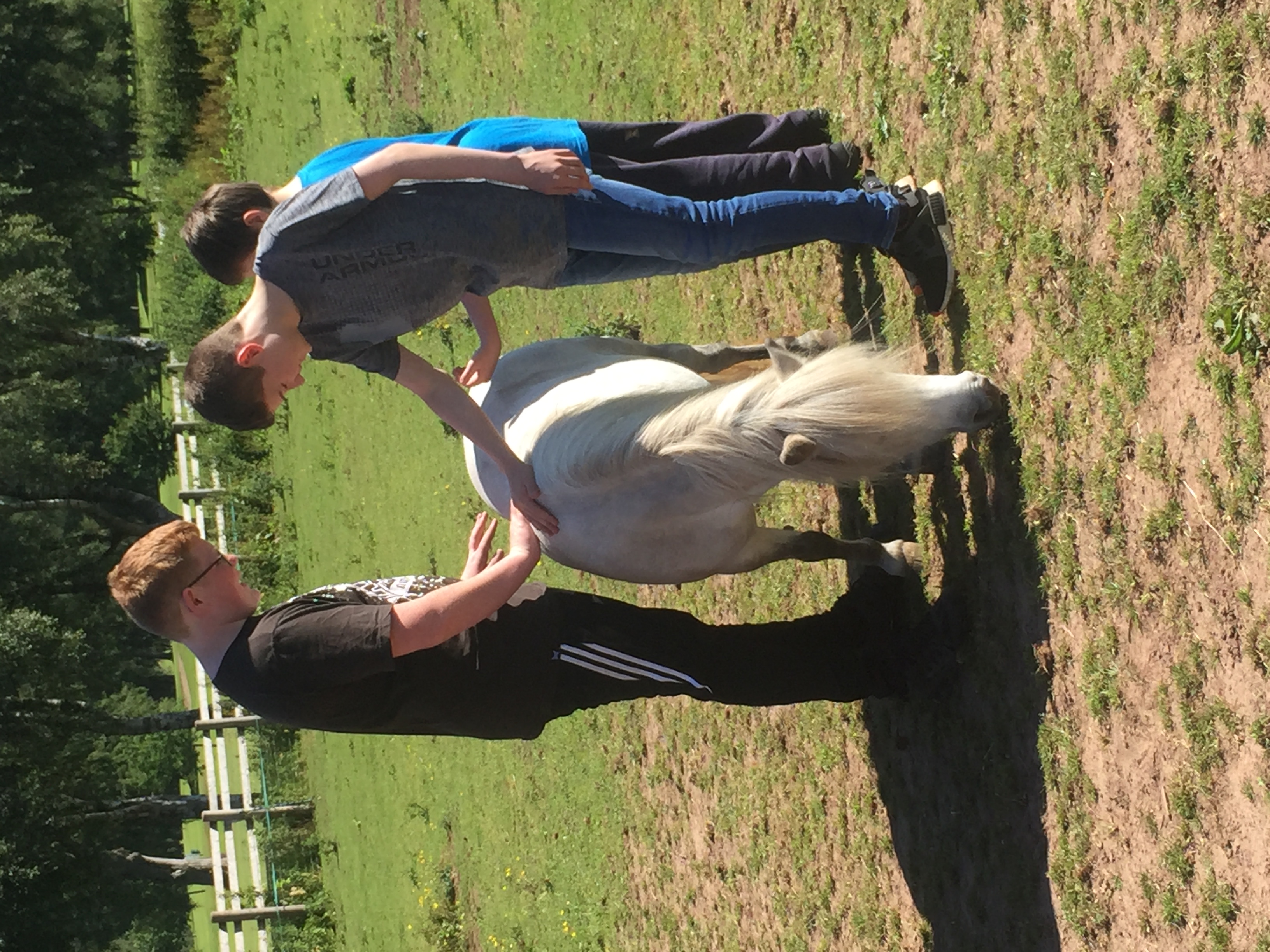 Equine assisted session at The Listening Room