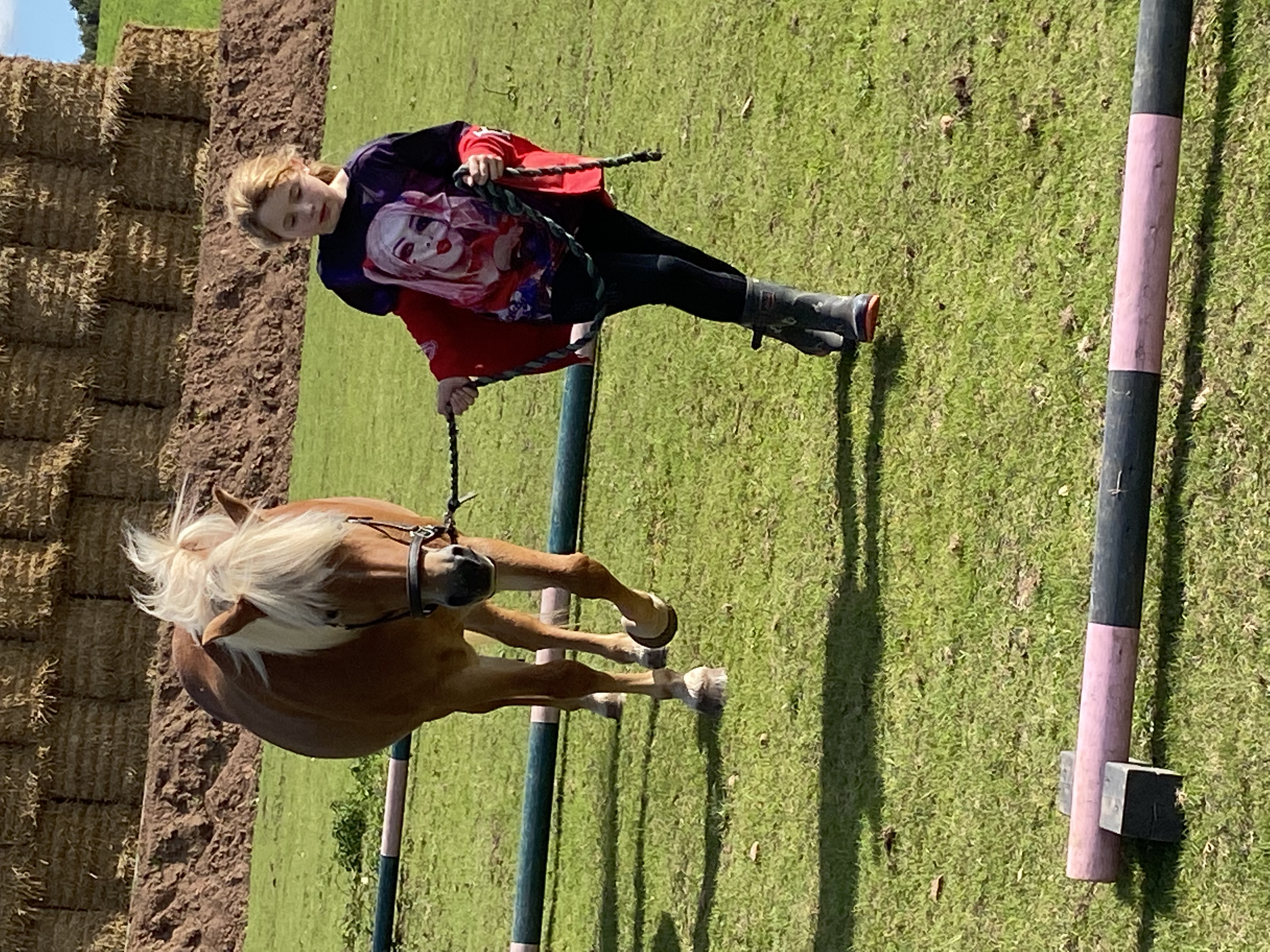 Equine assisted session at The Listening Room