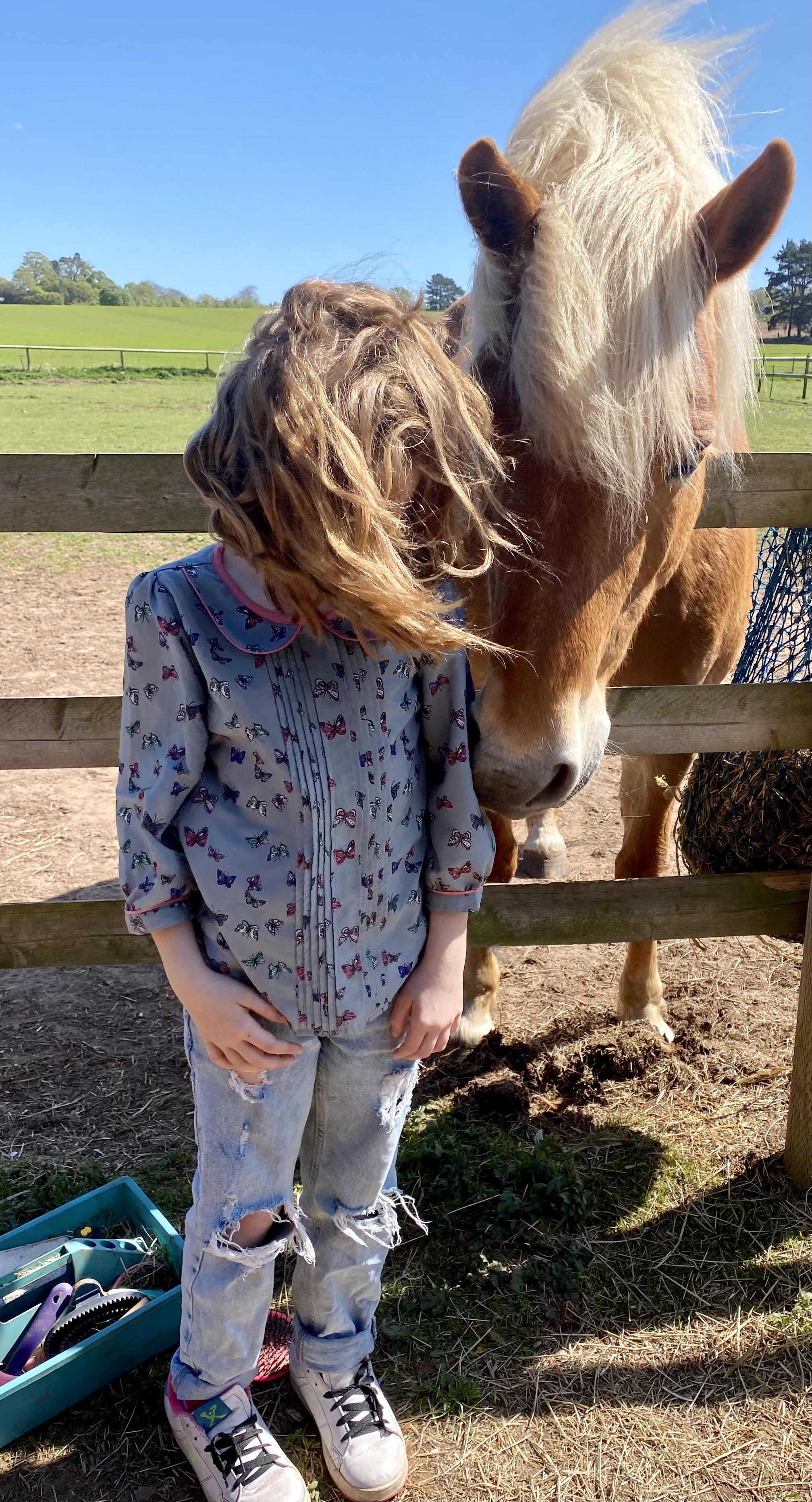 Equine assisted session at The Listening Room