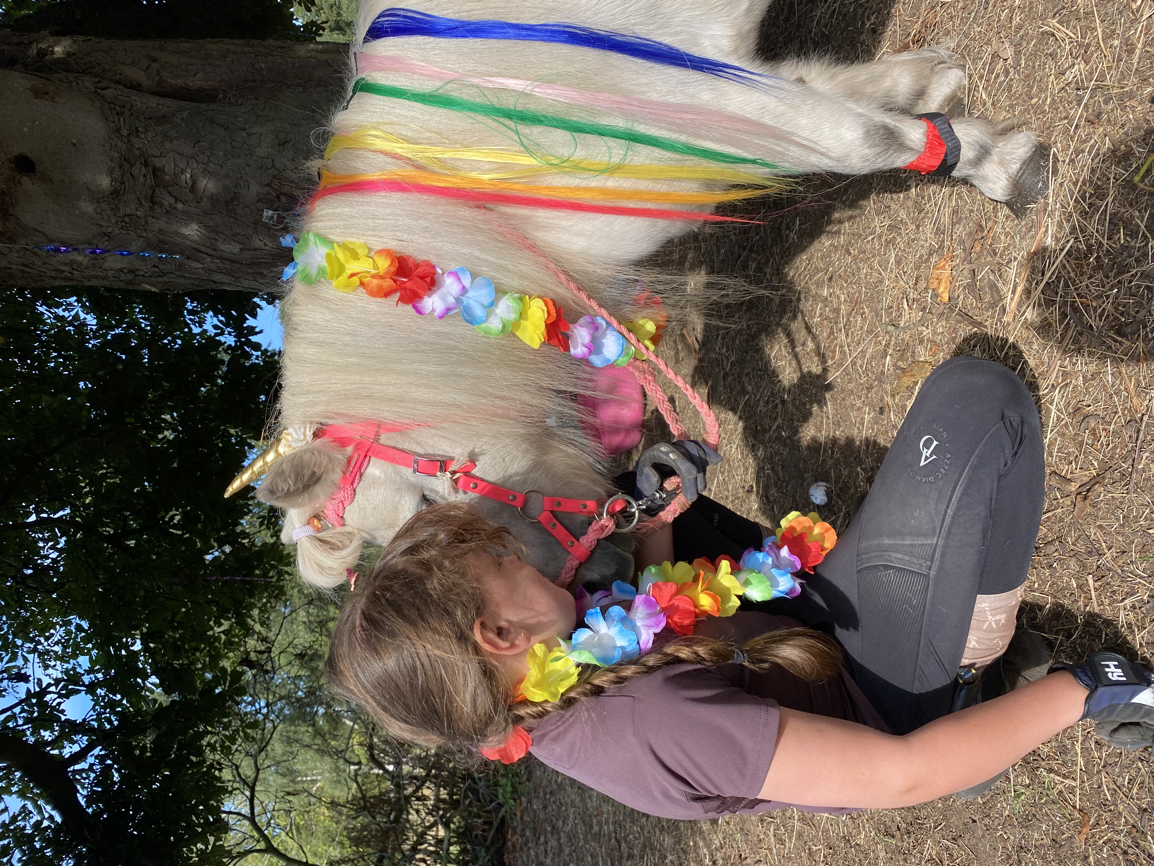 A creative equine session at The Listening Room
