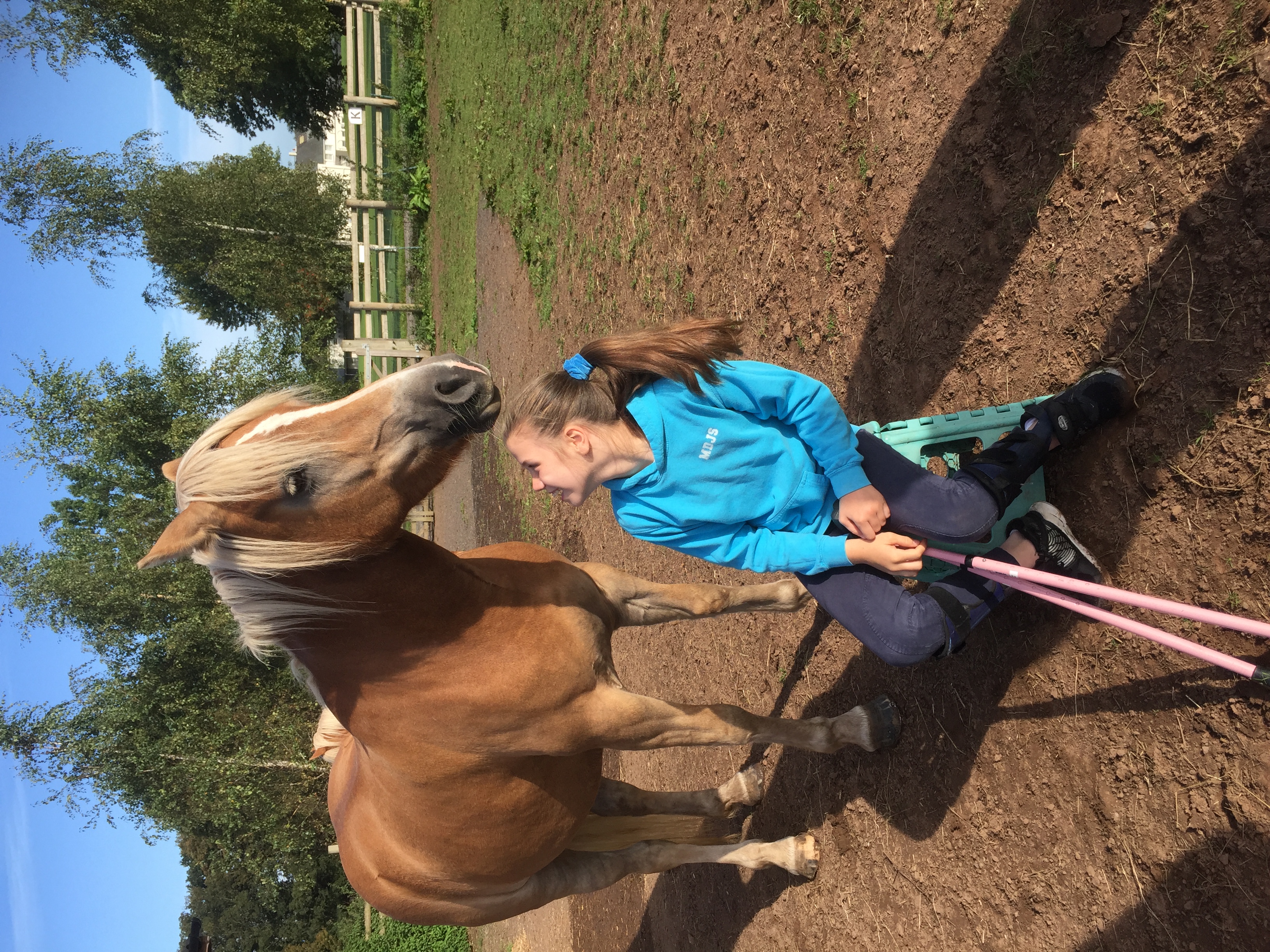 Equine assisted session at The Listening Room