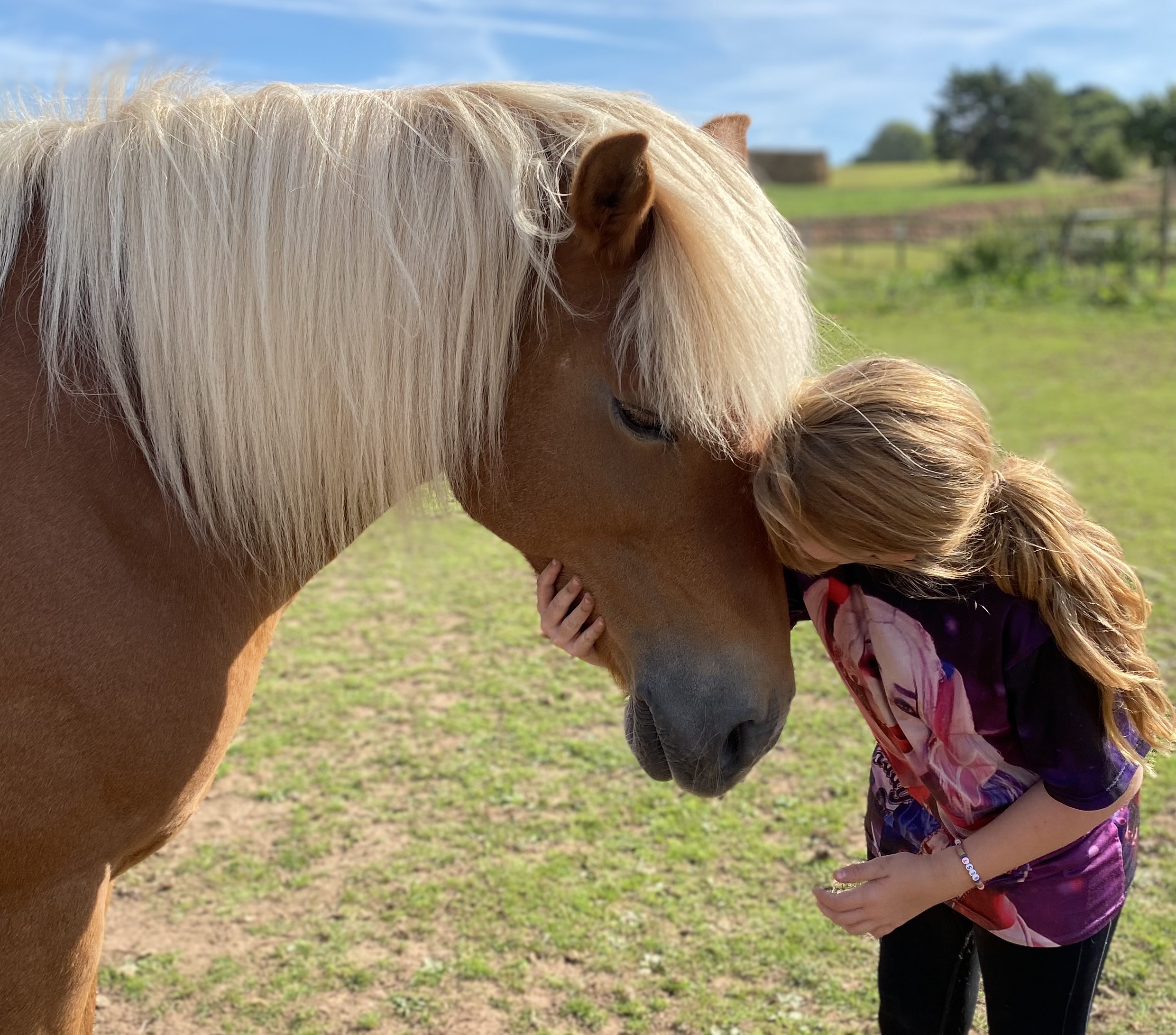 A child working alongside horses in an equine assisted counselling session