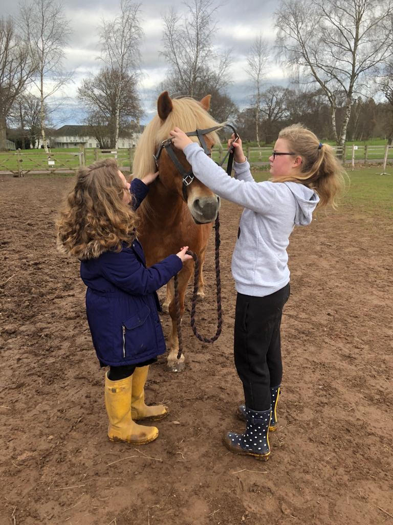 Leading a pony at The Listening Room