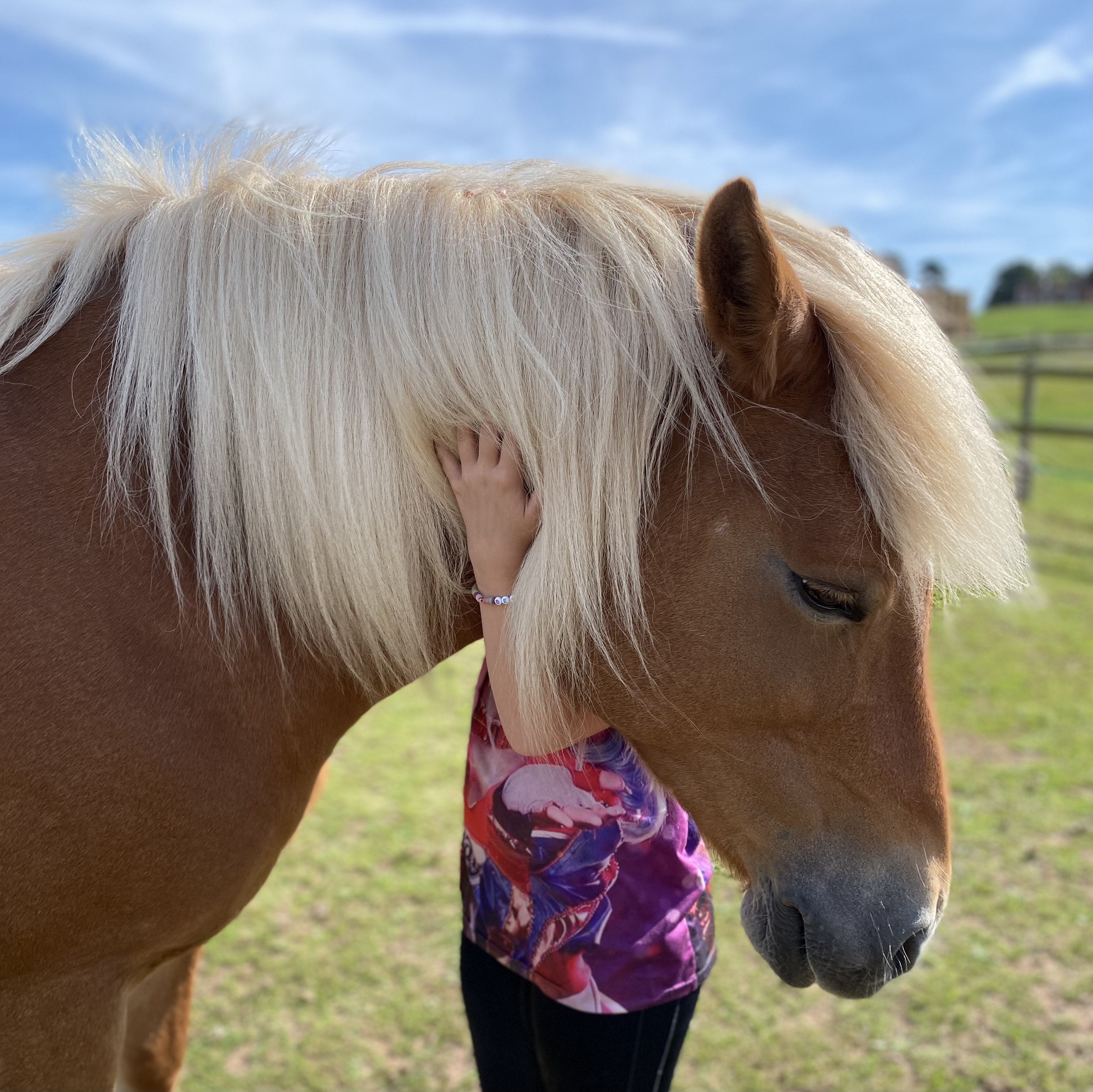 A pony at The Listening Room