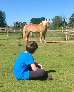 Time alongside the horses at The Listening Room